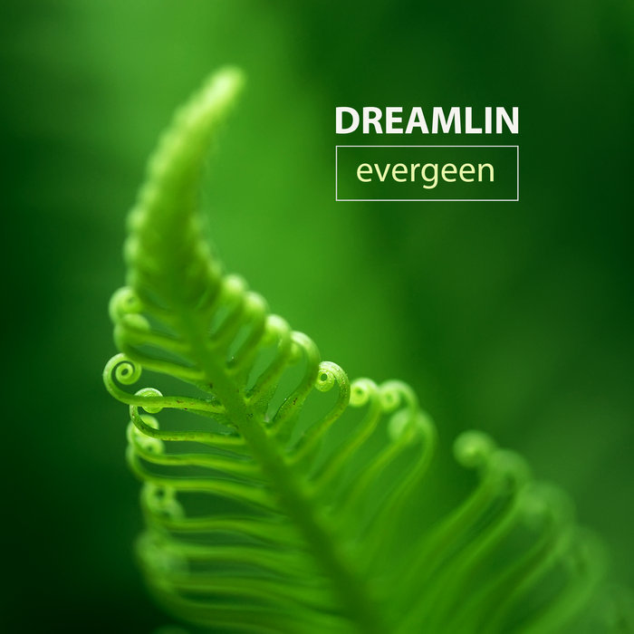 Dreamlin - Evergreen album cover